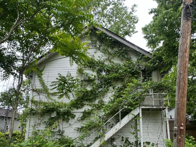 Untitled design - 2026-03-07T145952.854