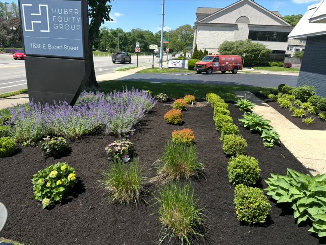 Untitled design - 2026-03-07T150647.980