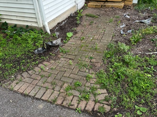 Untitled design - 2026-03-07T151416.236