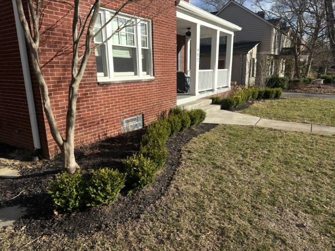 Untitled design - 2026-03-07T151531.208