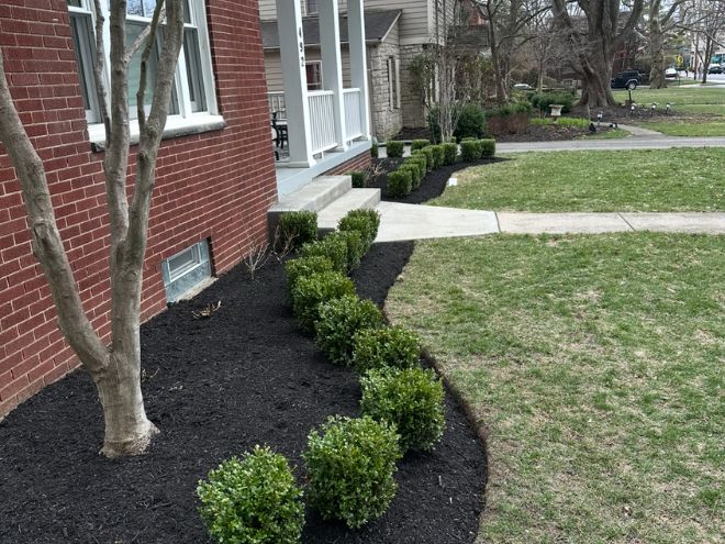 Untitled design - 2026-03-07T151734.210