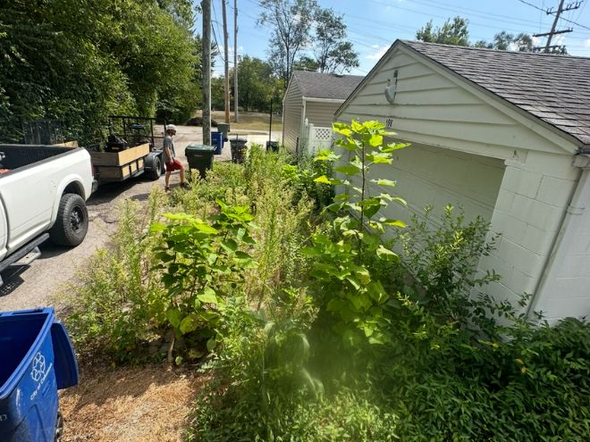 Untitled design - 2026-03-07T152200.753