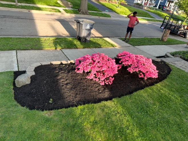 Untitled design - 2026-03-07T153337.153